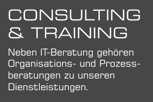 Consulting Training